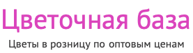 Цветочная база