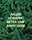 Акция на Нобилис 150 руб ветка