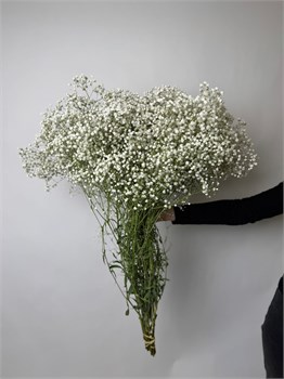 Гипсофила 25 шт 10032 - фото 181