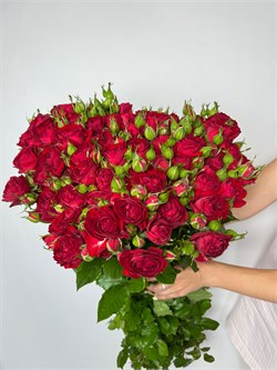 Кустовые розы Ред Баблз 10073