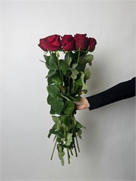 Роза Ред Наоми 60см 10шт 10020