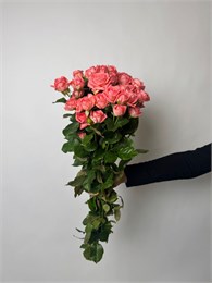 Кустовая роза Барбадос 10 шт 10031