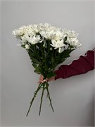 Хризантема кустовая белая 5 шт 10043
