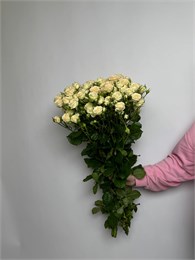 Кустовая роза Яна 10 шт 10011