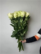 Роза Мондиаль 60 см 25 шт 10048