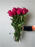 Роза Пинк Флойд 60 см 25 шт 10049
