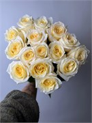 Роза Эквадор 15 шт 10056