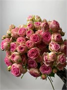 Кустовые розы Супер Сенсейшен 10 шт 10069
