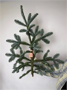 Ветка Нобилиса 10083