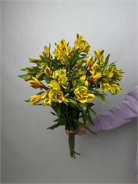 Альстромерия 10 шт 10015