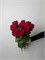 Роза Ред Наоми 60см 10шт 10020