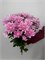 Хризантема кустовая розовая 5 шт 10045