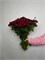 Кустовая роза Марун 10 шт 10010