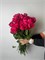 Роза Пинк Флойд 60 см 25 шт 10049