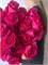Роза Пинк Флойд 60 см 25 шт 10049
