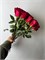Роза Эквадор 15 шт 10054