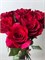 Роза Эквадор 15 шт 10054