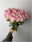 Роза Эквадор 15 шт 10057