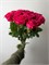 Роза Эквадор 15 шт 10060