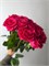 Роза Эквадор 15 шт 10060