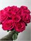 Роза Эквадор 15 шт 10060