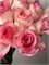 Роза Эквадор 15 шт 10062