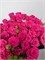 Кустовые розы Пинк Йо-йо 10071