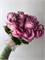 Роза Эквадор 15 шт сиреневая 10085